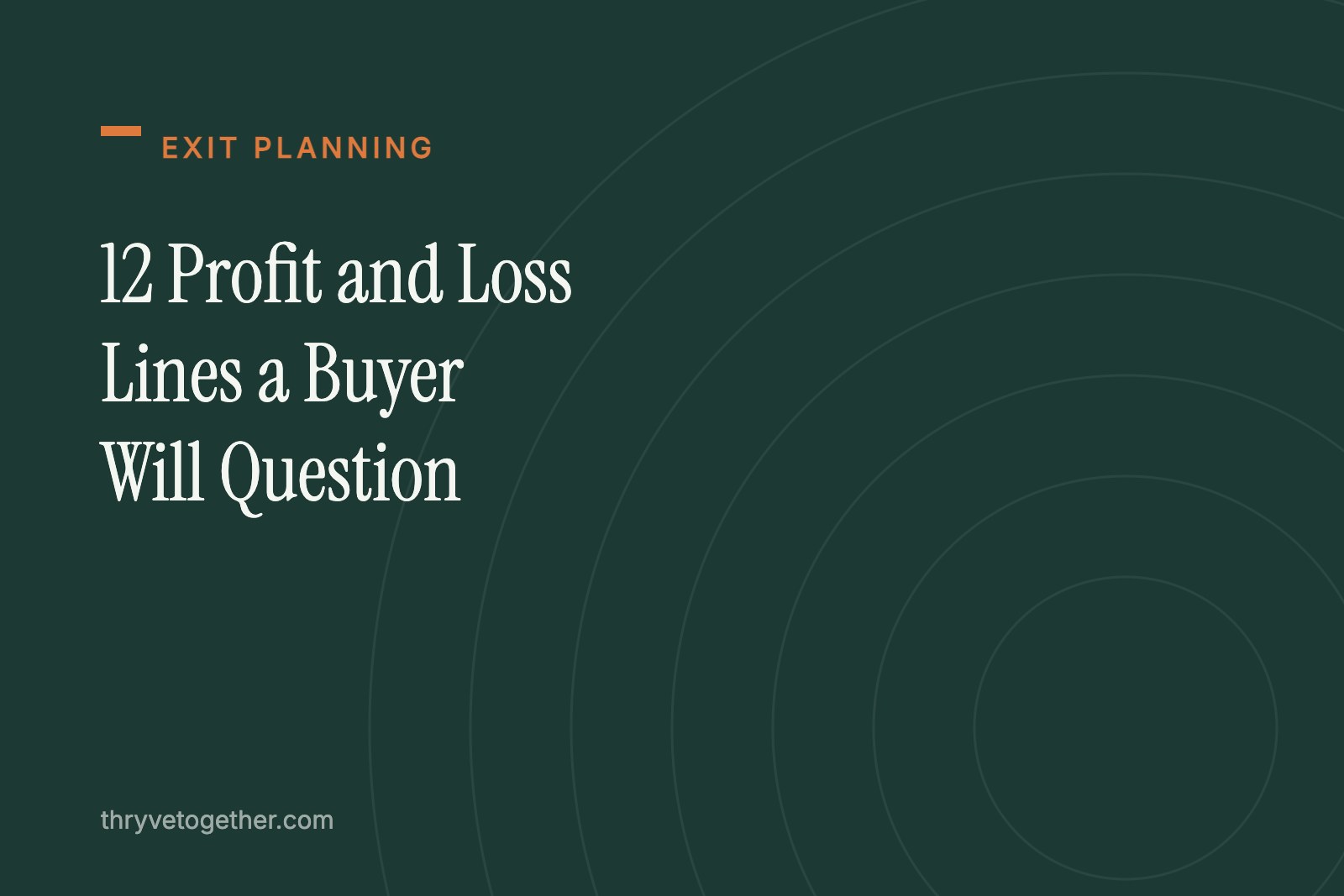 12 Profit and Loss Lines a Buyer Will Question